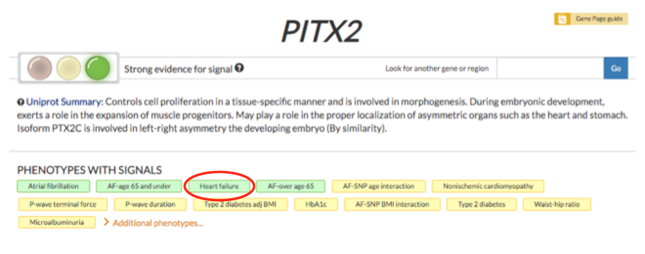 PITX2 gene page